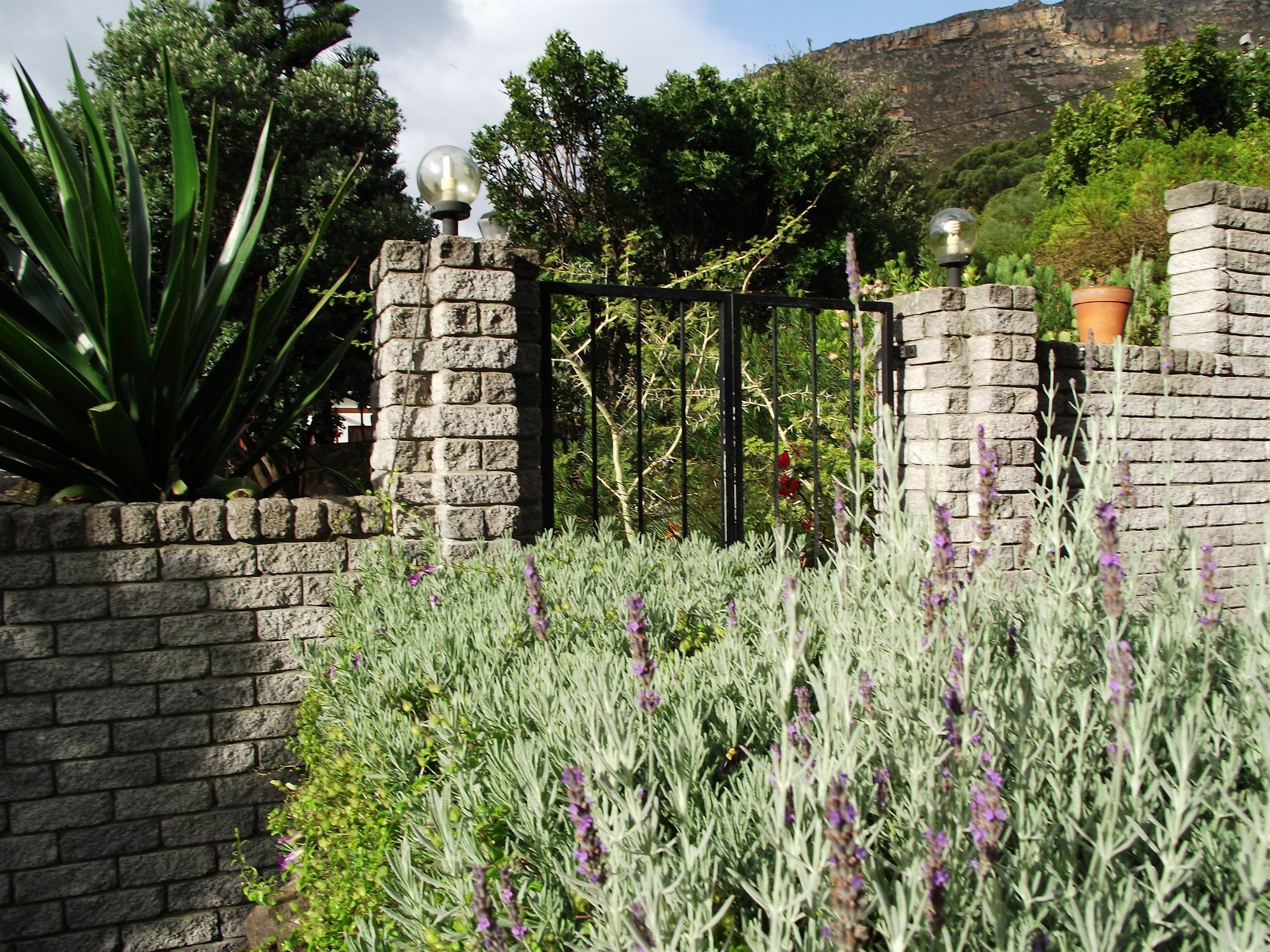 Bluebottle Guesthouse Muizenberg Exterior photo